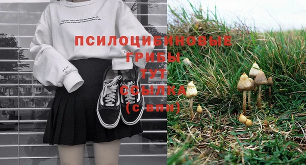 jwh Верея