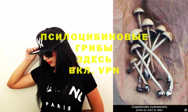 jwh Верея